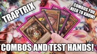 HOW TO PLAY A TRAPTRIX DECK! COMBOS AND TEST HANDS! (MAY 2023) YUGIOH!