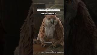 How to adopt the OWLBEAR CUB in Baldur's Gate 3