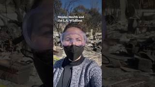 Los Angeles Wildfires and Mental Health