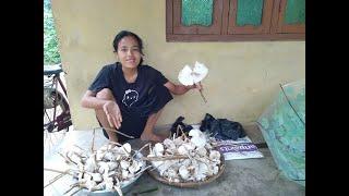 megumu bange mana mushroom