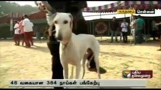 46 varieties of dogs participate in exhibition at YMCA ground
