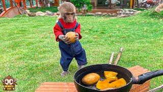 Monkey baby YiYi excited prepared potatoes and asked grandpa to cooks