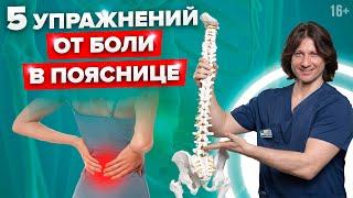 Почему болит поясница? Эффективные упражнения от боли в пояснице //16+