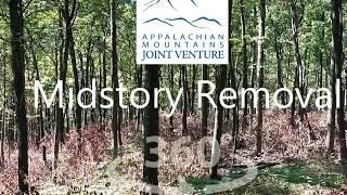 Virtual Field Tour: Midstory Removal