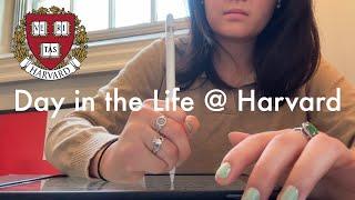 A Day in the Life of a Harvard Student | Senior Edition + Housing Day