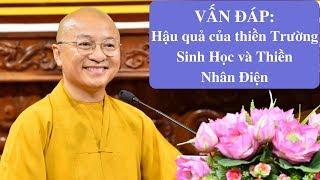 Vấn đáp: Hậu quả của thiền Trường Sinh Học và Thiền Nhân Điện | Thích Nhật Từ