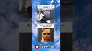 Daily Dose of memes #meme #funny