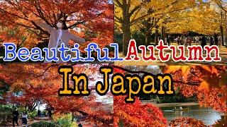 【JAPAN VLOG】BEAUTIFUL AUTUMN IN SHOWA KINEN PARK IN TACHIKAWA,TOKYO JAPAN/国営昭和記念公園