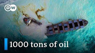 Mauritius oil spill: Grounded Japanese ship splits in two | DW News