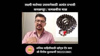 लक्ष्मी मातेच्या उपासनेसाठी कमळगट्टा कमळबीज माळेचे फायदे | Kamalgatta Kamalbeej Mala Benefits