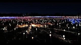 Uluru's Field Of Lights