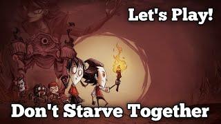 Playing Don't Starve Together! Come hang out :D