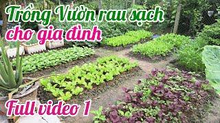 Full video 1 - Cách trồng Vườn rau sạch cho gia đình