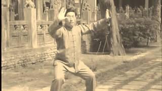 Taiji, Chen Xiaowang, Chenstyle, Taijiquan, Grandmaster Chen, Chenjiagou, 陈小旺, Tai chi