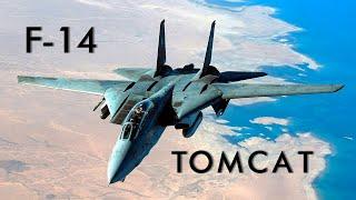 Aviones que cambiaron el Mundo| F-14 Tomcat