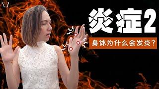 身体为什么会发炎？你不可能躲得开炎症 | Why do we have inflammation? Inflammation is unavoidable