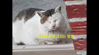 고양이 그리는 방법(비전문가의 고양이 쉽게 그리는 법) How to draw a cat.