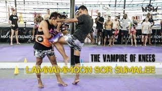 Lamnammoon The Vampire of Knees | Namsaknoi Muay Thai