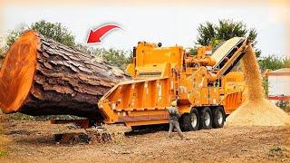 Incredible Powerful Wood Chipper Machines Working, Amazing Tree Shredder Machines and Woodworking