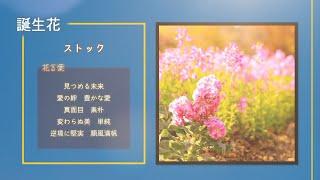 【今日は何の日？】2月9日まとめ、漫画の日、肉の日、バレーボールの考案、「バルカン協商」成立、日本青年会議所設立、ボーイング747型機が初飛行