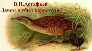 В.П. Астафьев Зачем я убил коростеля? слушать онлайн аудиорассказ , аудиосказка, аудиоучебник