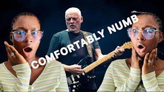 First Time Reaction To - Pink Floyd - Comfortably Numb - pulse concert performance 1994