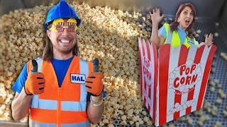 Handyman Hal Loves Popcorn  How Popcorn is made  Handyman Hal and Alex make Kettle Corn