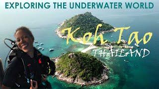 Diving and Exploring the UNDERWATER WORLD of Koh Tao | Thailand Travel | APRIL 2022