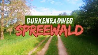 Spreewald Gurkenradweg von Lübben nach Alt-Schadow