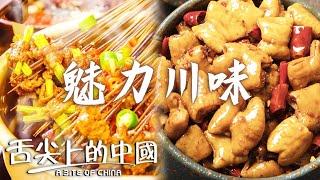 綿陽米粉 樂山麻辣燙 江油肥腸 川味泡菜 四川美食探秘 你真的吃過「川菜之魂」嗎？ | 舌尖上的中國 A Bite of China