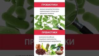Пробиотики и пребиотики: что это такое
