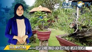 Desa Sumbernadi Jadi Destinasi Wisata Bonsai