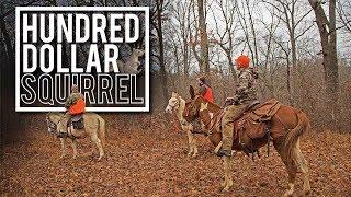 Hundred Dollar Squirrel | Squirrel Hunt on MULES in the Ozarks using FEISTS