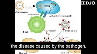 mRNA vaccines and how does it work