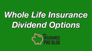 Whole Life Insurance Dividend Options