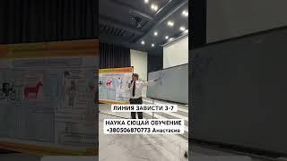 ЛИНИЯ ЗАВИСТИ 3-7 НАУКА СЮЦАЙ