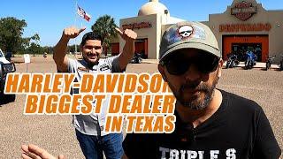 HARLEY DAVIDSON DESPERADO / THE BIGGEST DEALER IN TEXAS