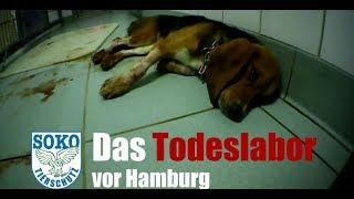 Das Todeslabor vor Hamburg - Hier vergiften sie Hunde // SOKO Tierschutz e.V.