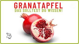 WARUM DU TÄGLICH GRANATAPFEL ESSEN SOLLTEST 10 gesunde Wirkungen / Das solltest du wissen!