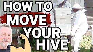 Beekeeping | How To Move Your Hive