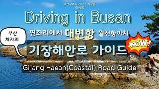 Driving in Busan/Korea/부산 기장군 연화리-대변항-월전항/기장해안도로 가이드