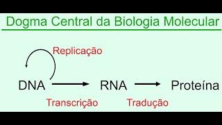 Dogma central da biologia molecular:   Replicação, Transcrição e Tradução (DNA e RNA)