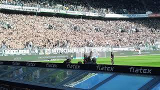 Borussia Mönchengladbach- 1. FC Köln 3:3, Support Gladbach & FC Fans