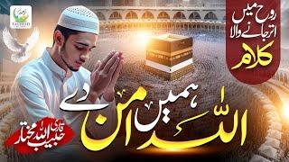 Allah Hamay Amaan De | Heart Touching Kalam By Qari Habibullah Mukhtar | Tauheed Islamic