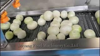 Onion washing machine/vegetable washing machine/fruit washing machine/fruit cleaning machine