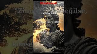 Seneca stoacı ilke ve prensipler, Stoa felsefesi ,Stoa etiği ,Stoacılık ,Stoacı ilkeler