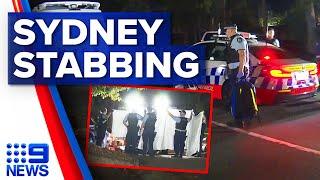 Man released on bail after being charged for allegedly stabbing neighbour | 9 News Australia