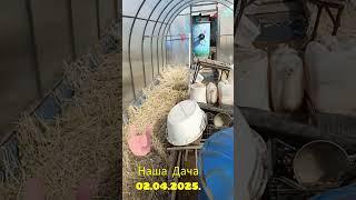 Открываем дачный сезон.Дождались #нашажизньлн