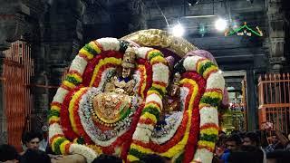 Tiruvannamalai Arunachaleshwarar Panguni Uthiram 2021 Dancing..