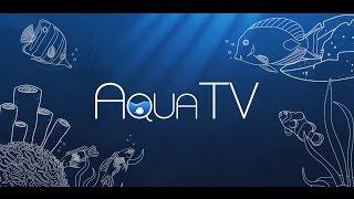 Aqua TV 1.1 Trailer